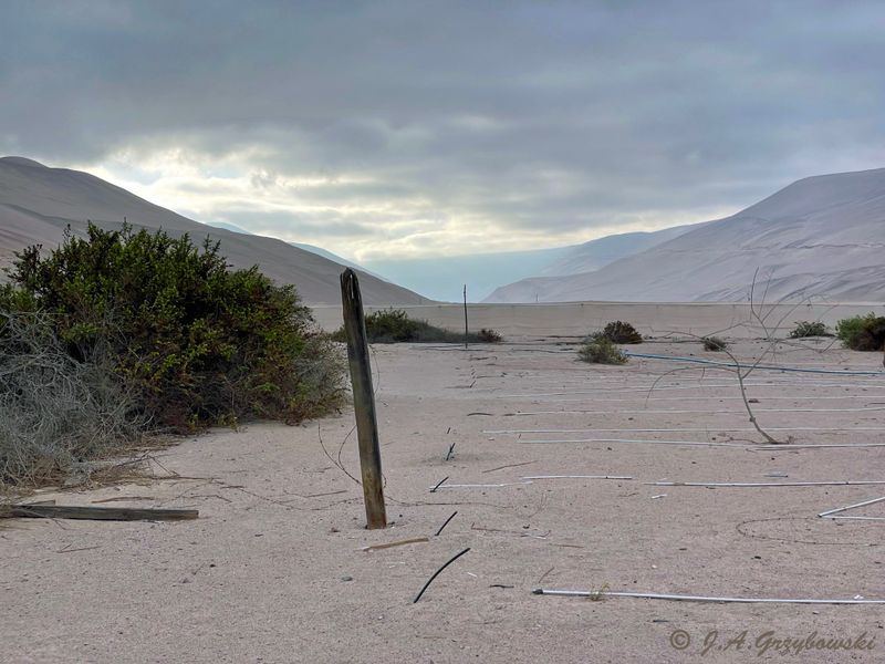 Chaca Valley, Atacama Desert