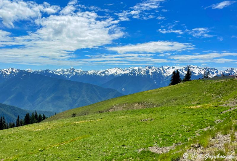 Olympic NP from Hurricane Ridge