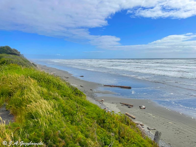 Washington Coast, Olympic NP
