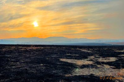 sunset over a prescribed burn