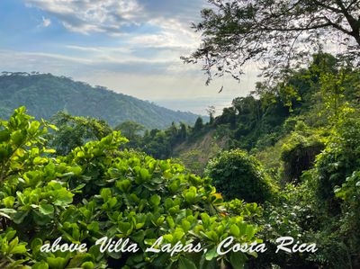 road above Villa Lapas, Costa Rica