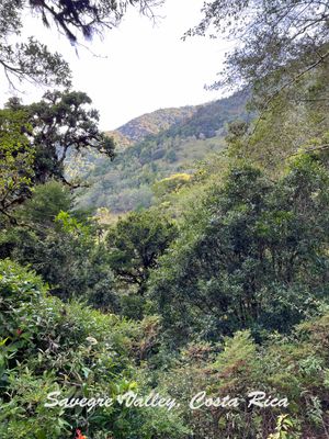 Savegre Valley, Costa Rica