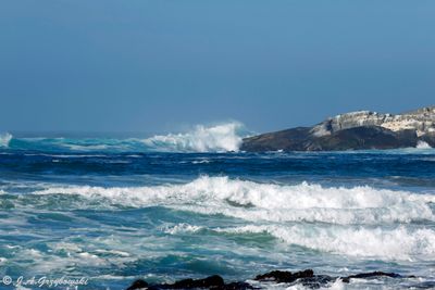 Cachagua Playa Los Coirones