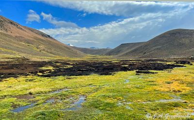 bog site