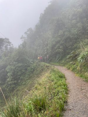 trail at Yanacocha Reserve
