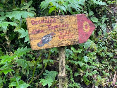 Bellavista Cloud Forest trail
