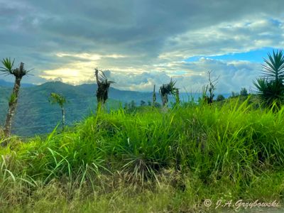countryside north of Los Bancos