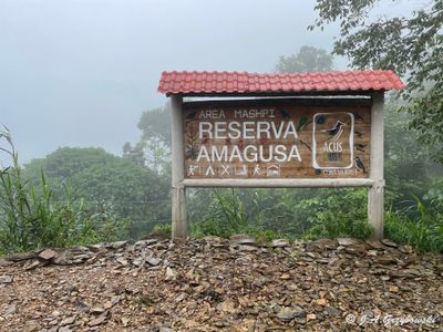 Reserva Amagusa