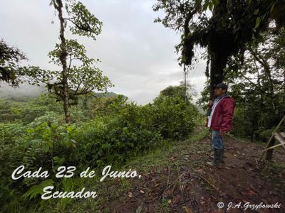 Umbrellabird Reserve