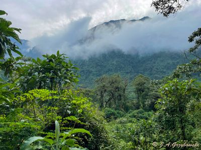 Guango Lodge Reserve