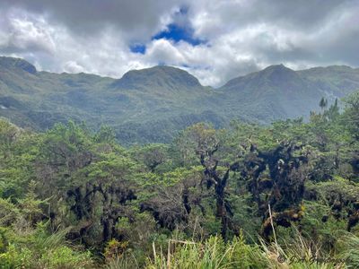 Cayambe-Coco Reserve