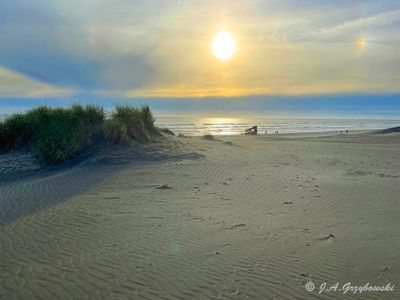 Wreck of the Peter Iredale