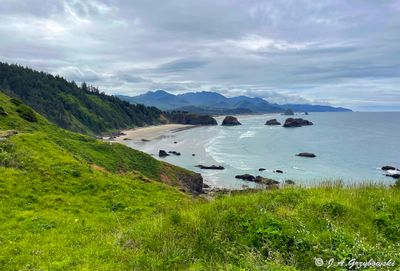 Oregon Coast