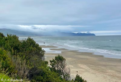 Oregon Coast