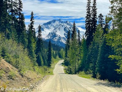 Hurley River Road, Pacific Range