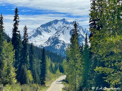 Hurley River Road, Pacific Range