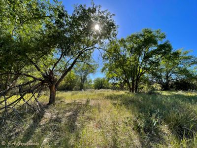 Black Mesa State Park