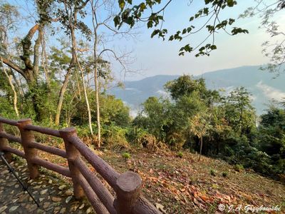 Khao Yai NP