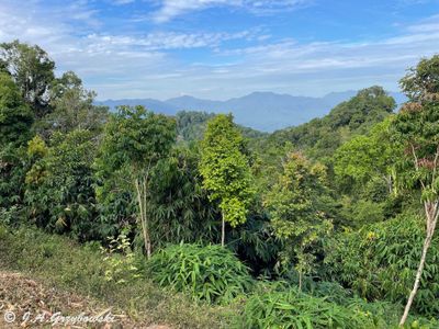 Kaeng Krachan NP