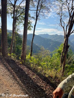 Thailand Nature