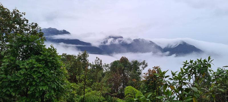 Camino Montezuma, Tatamá National Natural Park, Risaralda, Colombia