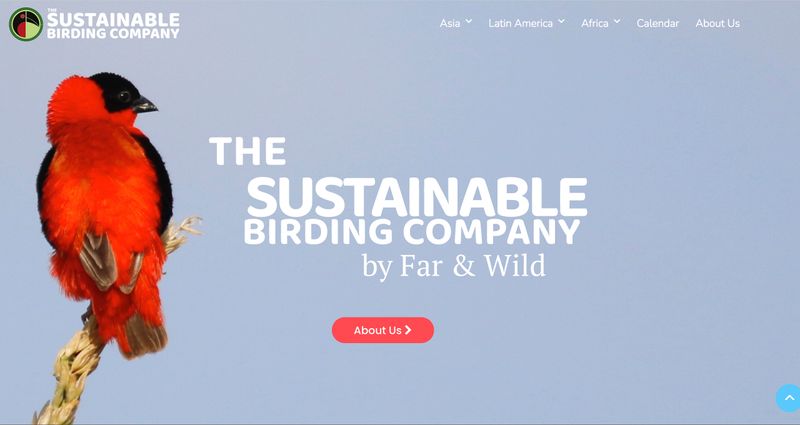 Sustainable Birding Company website.jpg