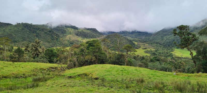 Reserva Bosque Guajira, Cundinamarca Colombia