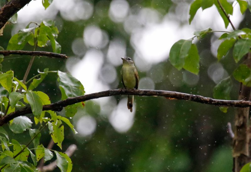 Colombia: Tayrona National Park