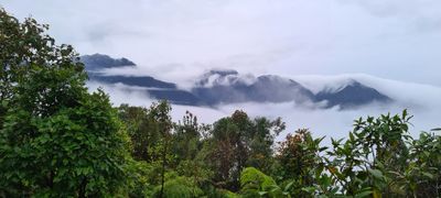g13/24/1048224/3/173496933.a55f7a73.JPEG