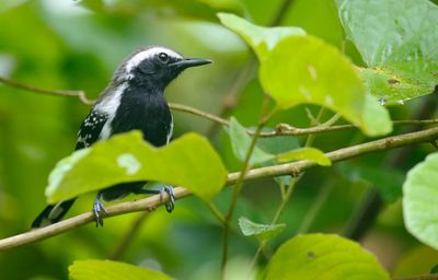 Colombia: Tayrona National Park