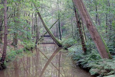 de Dommel - Cromvoirt (Brabant)