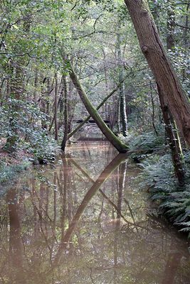 de Dommel - Cromvoirt (Brabant)