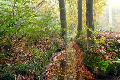 Twickel-Delden