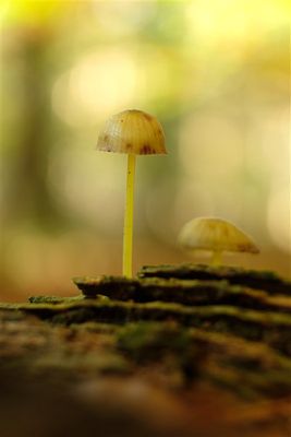 DSCF1773