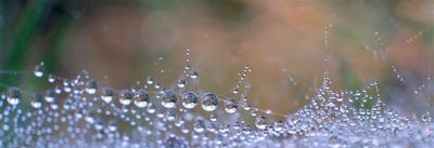 DSCF1793