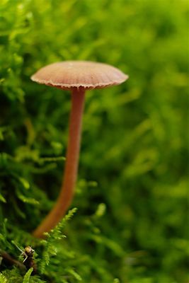 DSCF1779