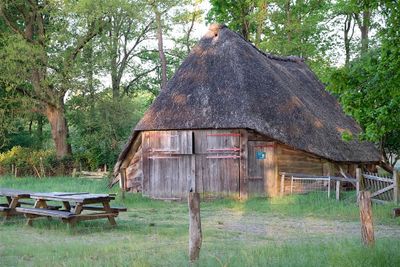 Schaapskooi / Sheepfold (de Borkeld-Markelo)