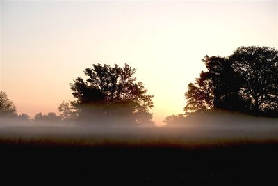 Zonsopkomst met grondmist / Sunrise with groundmist. (de Borkeld - (Markelo)