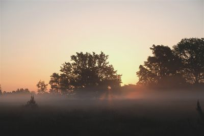 Zonsopkomst met grondmist / Sunrise with groundmist. (de Borkeld - (Markelo)