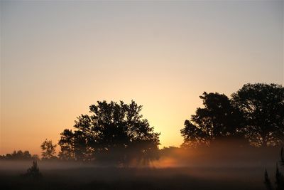 Zonsopkomst met grondmist / Sunrise with groundmist. (de Borkeld - (Markelo)