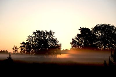 Zonsopkomst met grondmist / Sunrise with groundmist. (de Borkeld - (Markelo)