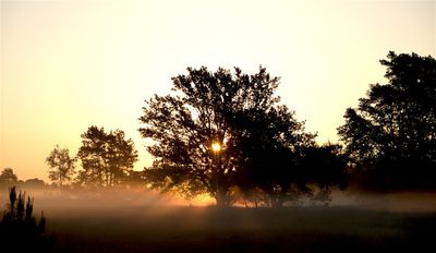 Zonsopkomst met grondmist / Sunrise with groundmist. (de Borkeld - (Markelo)