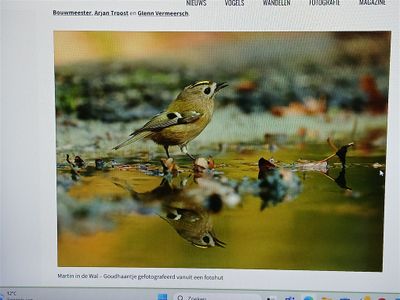Artikel over fotograferen vanuit een vogelhut (mei 2025)in maandblad Roots.