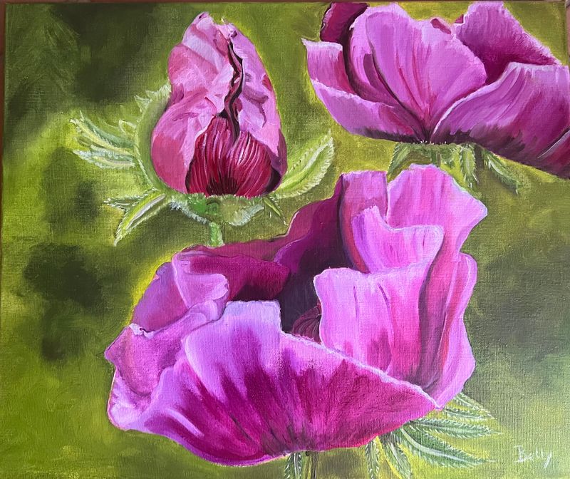 Klaprozen, Pivoines