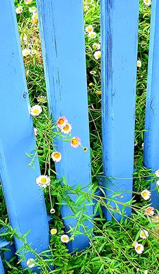 20221103_114812.jpg