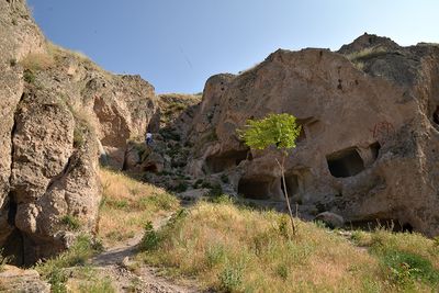 DSC_3724.JPG