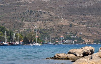 DSC_0478.JPG