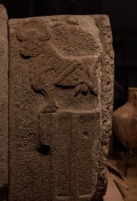 DSC_3636.jpg