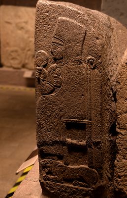 DSC_3596.jpg
