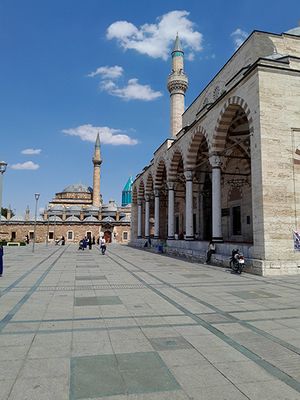 20240605_145512.jpg